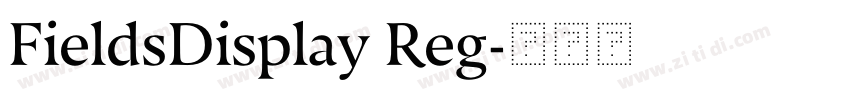 FieldsDisplay Reg字体转换 FieldsDisplay Reg字体转换